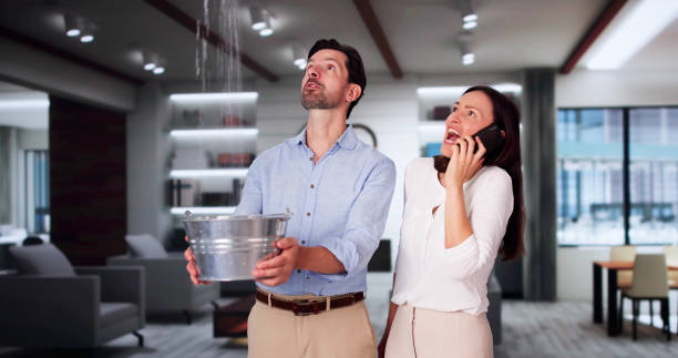 Best Water damage contractors near me  in White Oak, TX